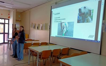 Čarobni dan s knjigo in kužki na Osnovni šoli Marije Vere (7)